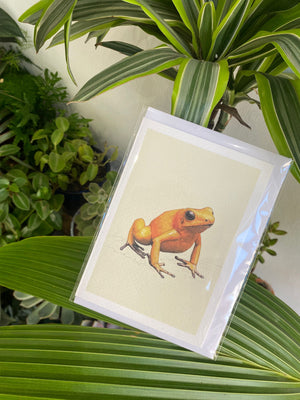 Golden Poison Frog  - Greeting Card
