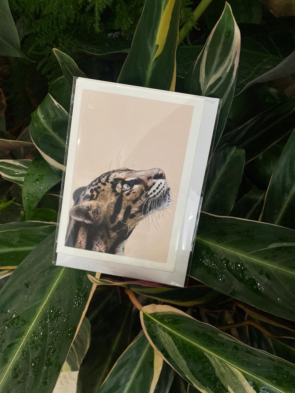 Clouded Leopard - Greeting Card