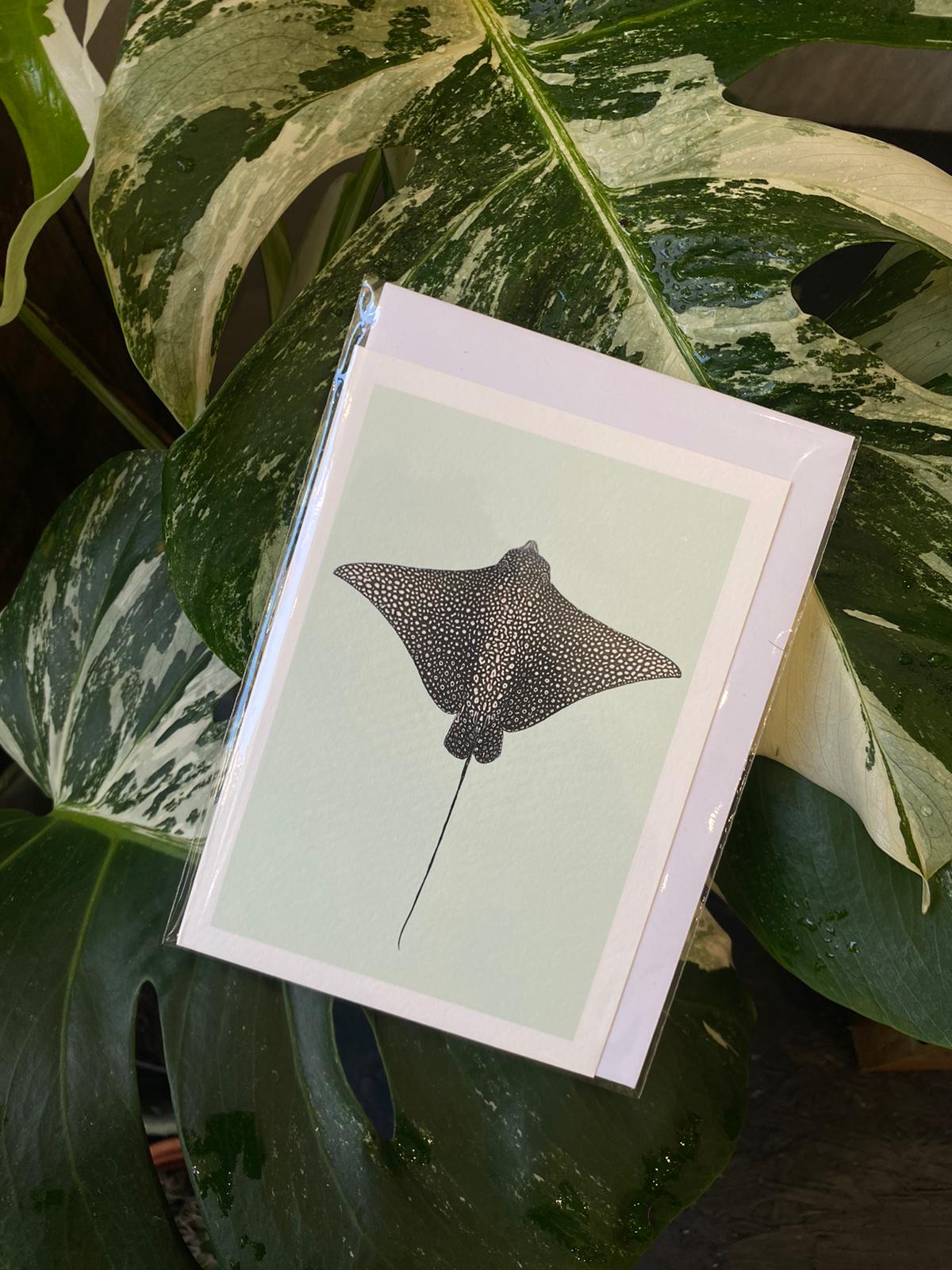 Spotted Eagle Ray - Greeting Card