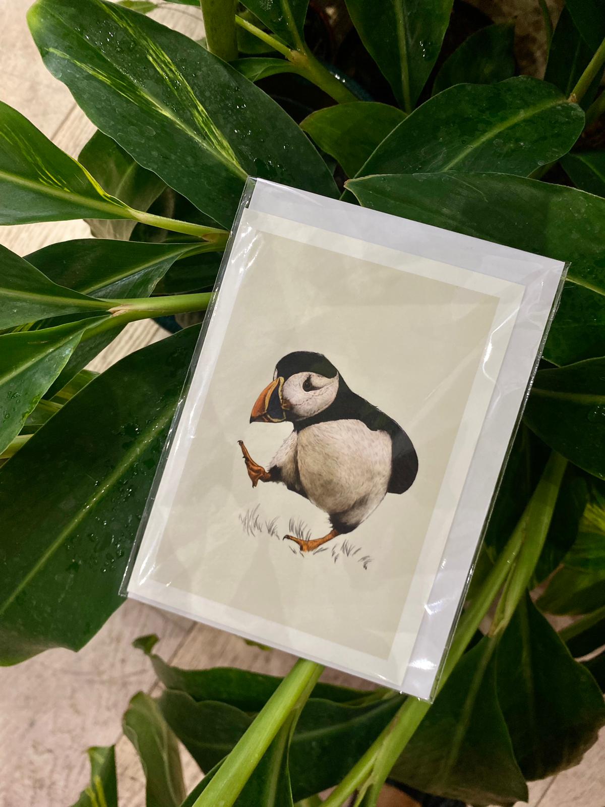 Puffin - Greeting Card