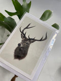 Red Deer Stag - Greeting Card