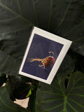 Pheasant - Greeting Card