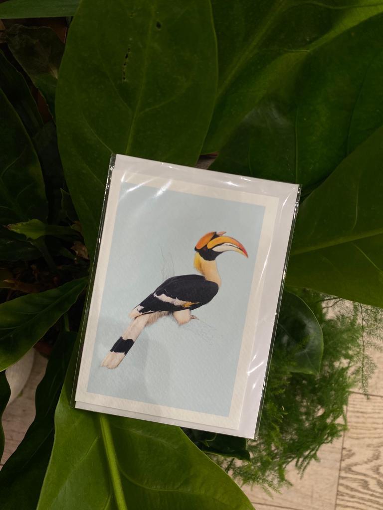 Hornbill - Greeting Card