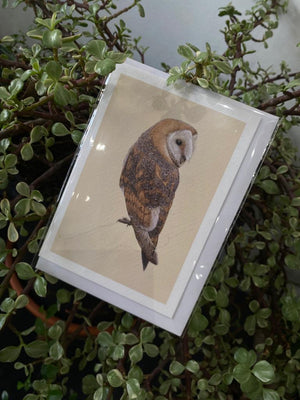 Barn Owl - Greetings Card