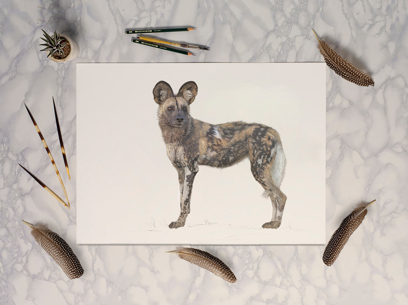 African Wild Dog Print