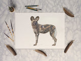 African Wild Dog