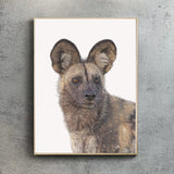 African Wild Dog (Portrait)