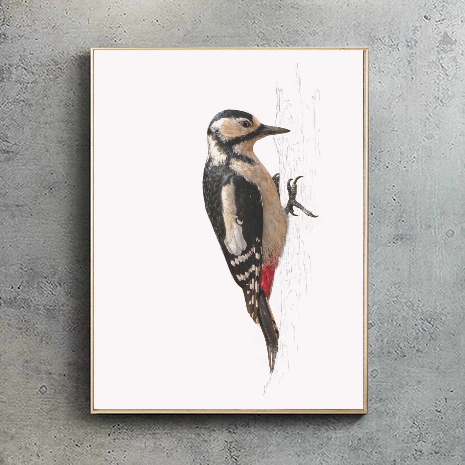 Greater Spotted Woodpecker