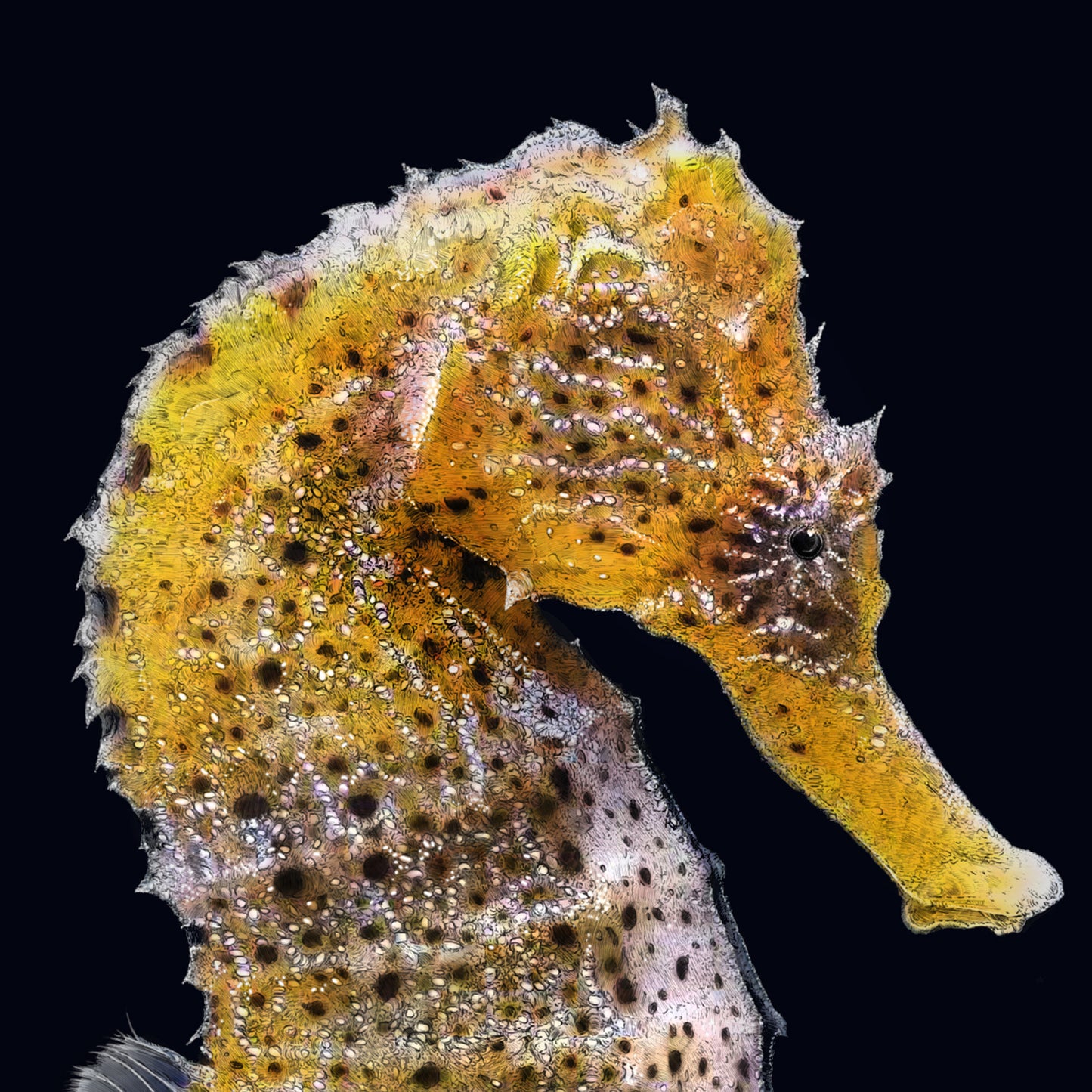 Yellow Seahorse print