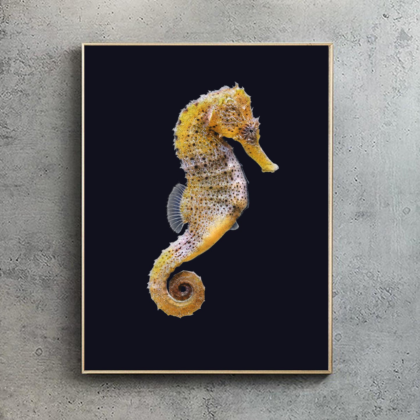 Yellow Seahorse print