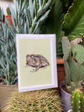 Namaqua Rainfrog - Greeting Card