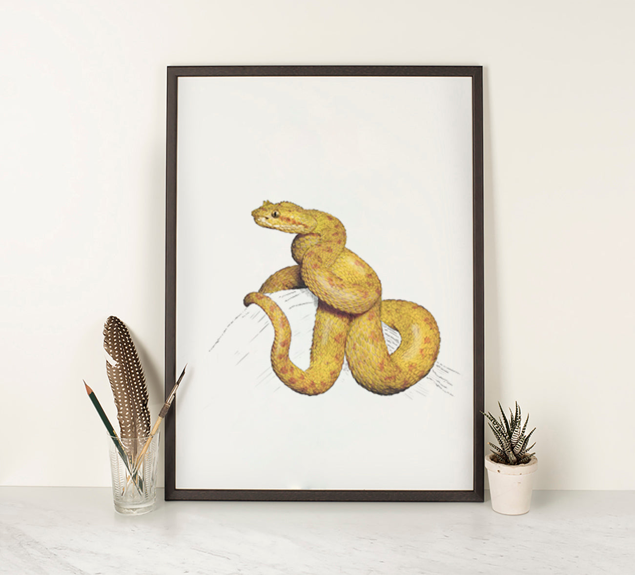 Eyelash Viper