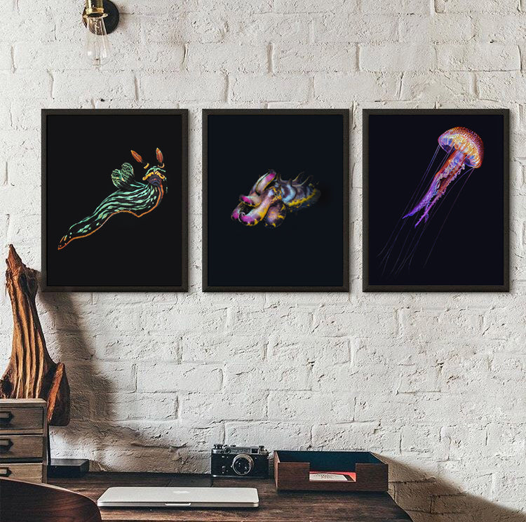 Flamboyant Cuttlefish - Wildlife Print | Hidden Planet – Ben Rothery
