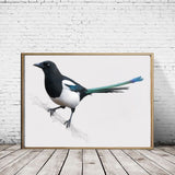Eurasian Magpie - Original Artwork and prints